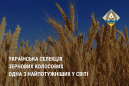 Українська селекція зернових колосових одна з найпотужніших у світі - Вінюков Українська селекція зернових колосових одна з найпотужніших у світі - Вінюков